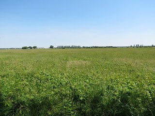 Property photo 30 - Ohio Land Auction - 180 +/- Acres Offered in 6 Tracts