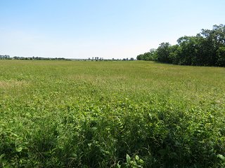 Property photo 31 - Ohio Land Auction - 180 +/- Acres Offered in 6 Tracts