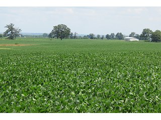Tract 2 - Ohio Land Auction - 180 +/- Acres Offered in 6 Tracts