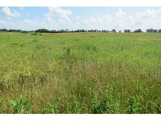 Tract 5 - Ohio Land Auction - 180 +/- Acres Offered in 6 Tracts