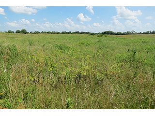 Tract 5 - Ohio Land Auction - 180 +/- Acres Offered in 6 Tracts