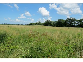Tract 6 - Ohio Land Auction - 180 +/- Acres Offered in 6 Tracts