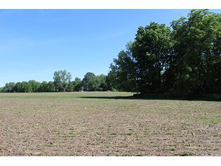 Property photo 3 - Real Estate Overlooking Lake Tippecanoe - 29.67 +/- acres offered in 3 tracts