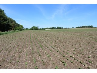 Property photo 1 - Real Estate Overlooking Lake Tippecanoe - 29.67 +/- acres offered in 3 tracts