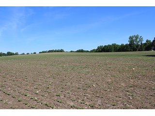 Property photo 2 - Real Estate Overlooking Lake Tippecanoe - 29.67 +/- acres offered in 3 tracts