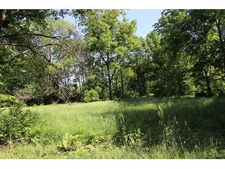 Property photo 4 - Real Estate Overlooking Lake Tippecanoe - 29.67 +/- acres offered in 3 tracts