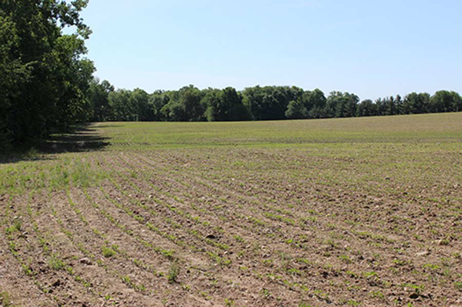 Real Estate Overlooking Lake Tippecanoe - 29.67 +/- acres offered in 3 tracts