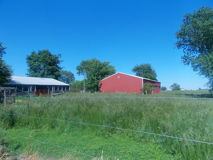 Indiana Land Auction, 26+/- Acres offered in 2 Tracts