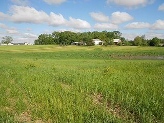 Property photo 19 - 80 +/- Acres Offered in 2 Tracts or Combination