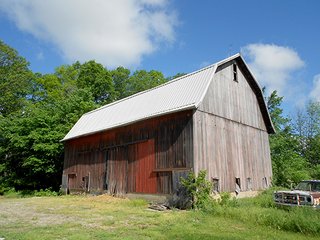 Property photo 16 - 80 +/- Acres Offered in 2 Tracts or Combination