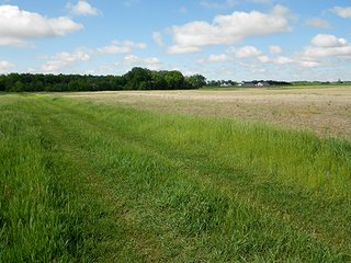 Property photo 3 - 80 +/- Acres Offered in 2 Tracts or Combination
