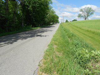 Property photo 13 - 80 +/- Acres Offered in 2 Tracts or Combination