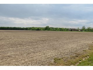 Property photo 10 - 89 +/- Acres Offered in 4 Tracts Real Estate Auction with Tillable & Wooded Land and Custom Home
