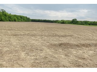 Property photo 26 - 89 +/- Acres Offered in 4 Tracts Real Estate Auction with Tillable & Wooded Land and Custom Home