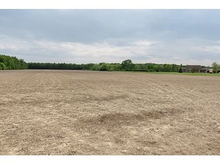 Property photo 19 - 89 +/- Acres Offered in 4 Tracts Real Estate Auction with Tillable & Wooded Land and Custom Home