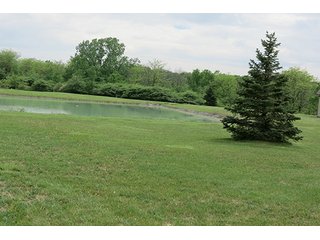 Property photo 24 - 89 +/- Acres Offered in 4 Tracts Real Estate Auction with Tillable & Wooded Land and Custom Home