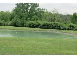 Property photo 27 - 89 +/- Acres Offered in 4 Tracts Real Estate Auction with Tillable & Wooded Land and Custom Home