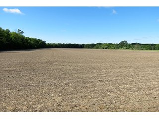 Property photo 18 - 89 +/- Acres Offered in 4 Tracts Real Estate Auction with Tillable & Wooded Land and Custom Home