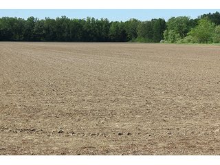 Property photo 22 - 89 +/- Acres Offered in 4 Tracts Real Estate Auction with Tillable & Wooded Land and Custom Home
