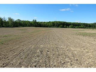 Property photo 16 - 89 +/- Acres Offered in 4 Tracts Real Estate Auction with Tillable & Wooded Land and Custom Home