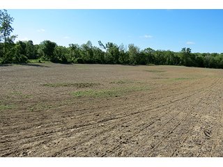 Property photo 9 - 89 +/- Acres Offered in 4 Tracts Real Estate Auction with Tillable & Wooded Land and Custom Home