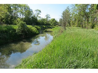 Property photo 14 - 89 +/- Acres Offered in 4 Tracts Real Estate Auction with Tillable & Wooded Land and Custom Home