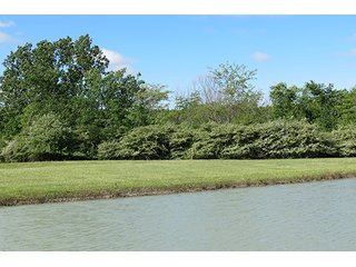 Property photo 25 - 89 +/- Acres Offered in 4 Tracts Real Estate Auction with Tillable & Wooded Land and Custom Home