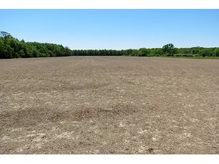 Property photo 29 - 89 +/- Acres Offered in 4 Tracts Real Estate Auction with Tillable & Wooded Land and Custom Home