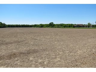 Property photo 15 - 89 +/- Acres Offered in 4 Tracts Real Estate Auction with Tillable & Wooded Land and Custom Home