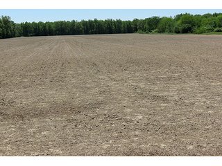 Property photo 20 - 89 +/- Acres Offered in 4 Tracts Real Estate Auction with Tillable & Wooded Land and Custom Home