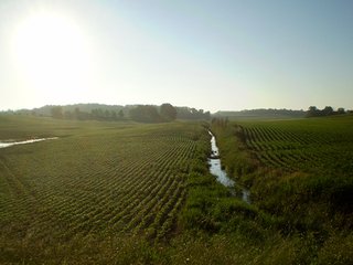 Property photo 7 - 35.5 Acres Offered in 4 Tracts - Formerly the Jack Kessie Farm