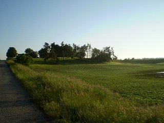 Property photo 6 - 35.5 Acres Offered in 4 Tracts - Formerly the Jack Kessie Farm