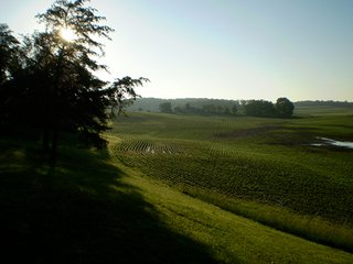 Property photo 15 - 35.5 Acres Offered in 4 Tracts - Formerly the Jack Kessie Farm