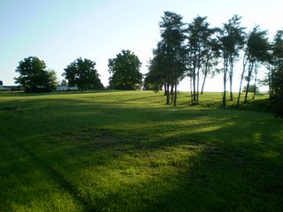 Property photo 11 - 35.5 Acres Offered in 4 Tracts - Formerly the Jack Kessie Farm
