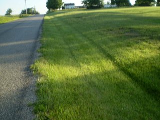 Property photo 2 - 35.5 Acres Offered in 4 Tracts - Formerly the Jack Kessie Farm