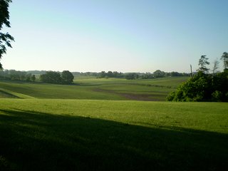 Property photo 19 - 35.5 Acres Offered in 4 Tracts - Formerly the Jack Kessie Farm