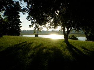 Property photo 10 - 35.5 Acres Offered in 4 Tracts - Formerly the Jack Kessie Farm