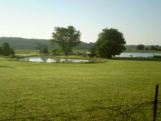 Property photo 9 - 35.5 Acres Offered in 4 Tracts - Formerly the Jack Kessie Farm