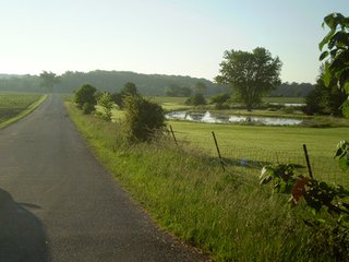 Property photo 14 - 35.5 Acres Offered in 4 Tracts - Formerly the Jack Kessie Farm