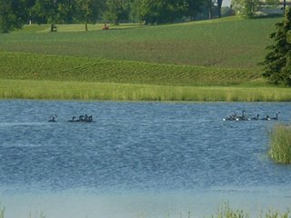 Property photo 3 - 35.5 Acres Offered in 4 Tracts - Formerly the Jack Kessie Farm