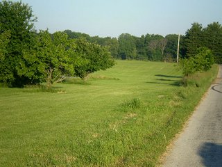 Property photo 21 - 35.5 Acres Offered in 4 Tracts - Formerly the Jack Kessie Farm