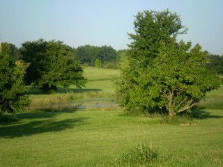 Property photo 16 - 35.5 Acres Offered in 4 Tracts - Formerly the Jack Kessie Farm