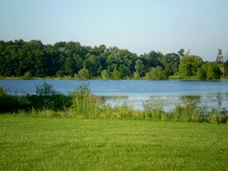 Property photo 1 - 35.5 Acres Offered in 4 Tracts - Formerly the Jack Kessie Farm
