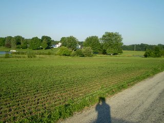 Property photo 4 - 35.5 Acres Offered in 4 Tracts - Formerly the Jack Kessie Farm