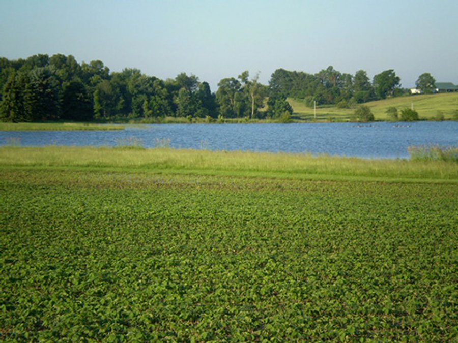 35.5 Acres Offered in 4 Tracts - Formerly the Jack Kessie Farm