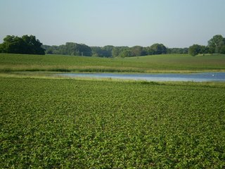 Property photo 17 - 35.5 Acres Offered in 4 Tracts - Formerly the Jack Kessie Farm