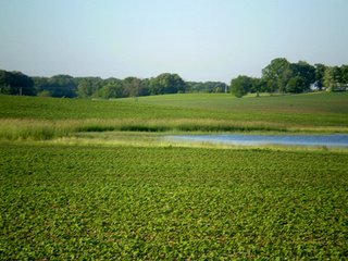 Property photo 18 - 35.5 Acres Offered in 4 Tracts - Formerly the Jack Kessie Farm