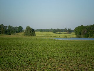 Property photo 22 - 35.5 Acres Offered in 4 Tracts - Formerly the Jack Kessie Farm