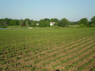 Property photo 23 - 35.5 Acres Offered in 4 Tracts - Formerly the Jack Kessie Farm