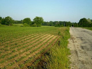 Property photo 24 - 35.5 Acres Offered in 4 Tracts - Formerly the Jack Kessie Farm